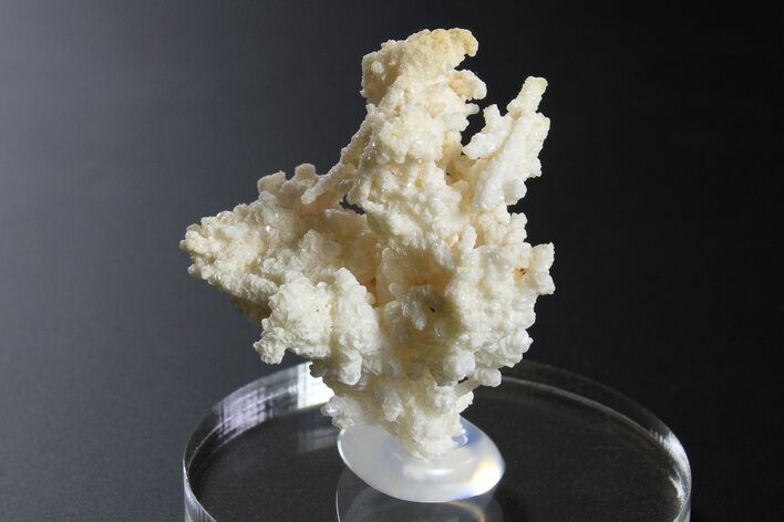 Intricate, Fluorescent Aragonite Formation - Nevada #295221